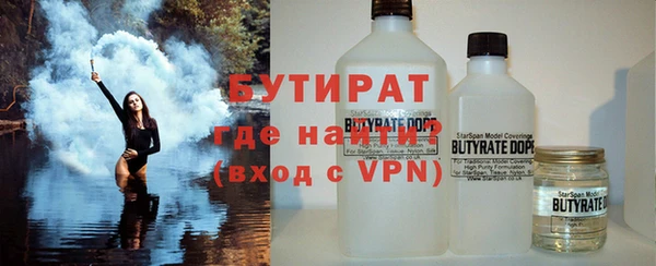 гашик Алексин