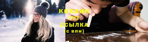 гашик Алексин