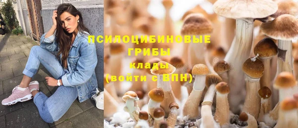 сатива Алексеевка