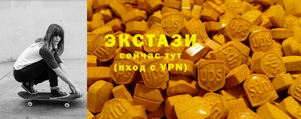 гашик Алексин
