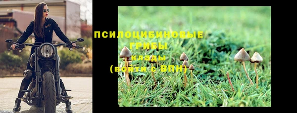 сатива Алексеевка