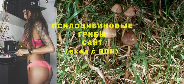 сатива Алексеевка