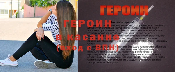 гашик Алексин