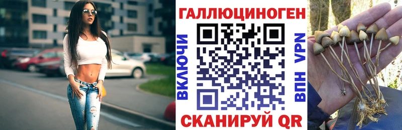 мориарти как зайти купить наркоту Тейково Галлюциногенные грибы Magic Shrooms