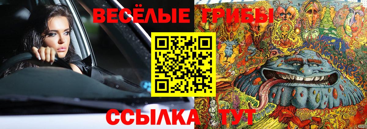 Псилоцибиновые грибы мухоморы Тейково